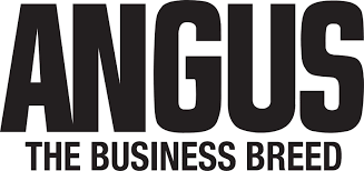 Image result for angus logo