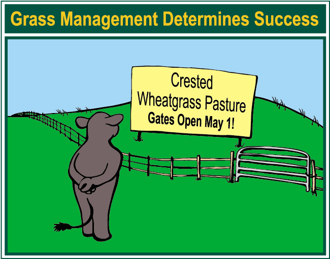 Grass Management Determines Success