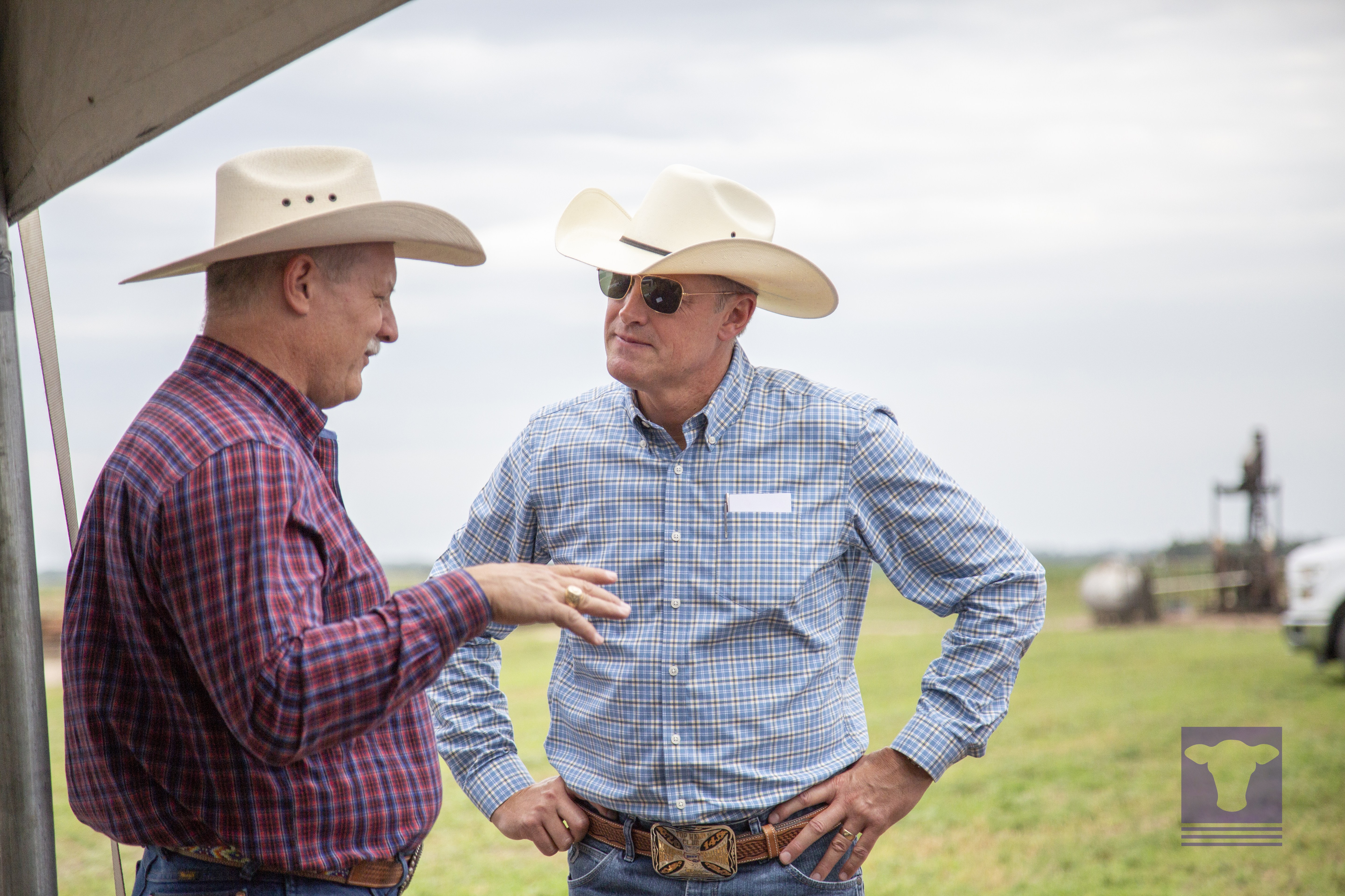 CattleTrace_63018-2_WM