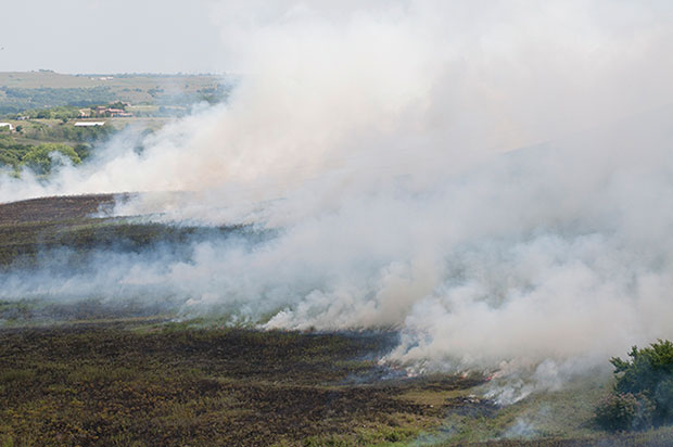 Fall prescribed burning, KSU Stocker Unit