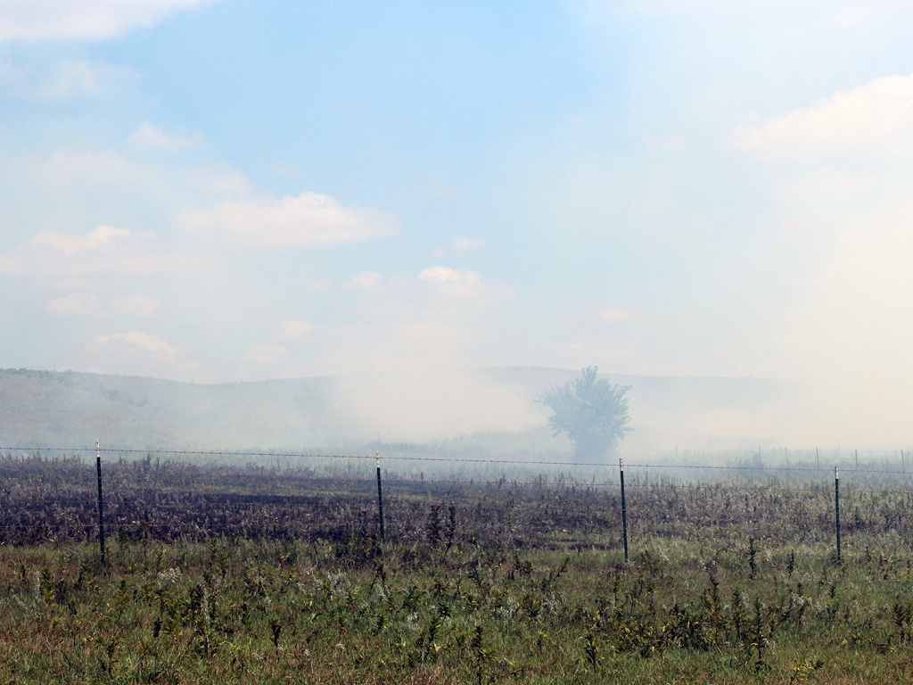 2018-summer-burning-photo3