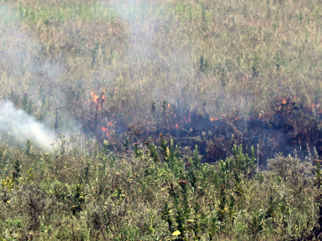 2018-summer-burning-photo1