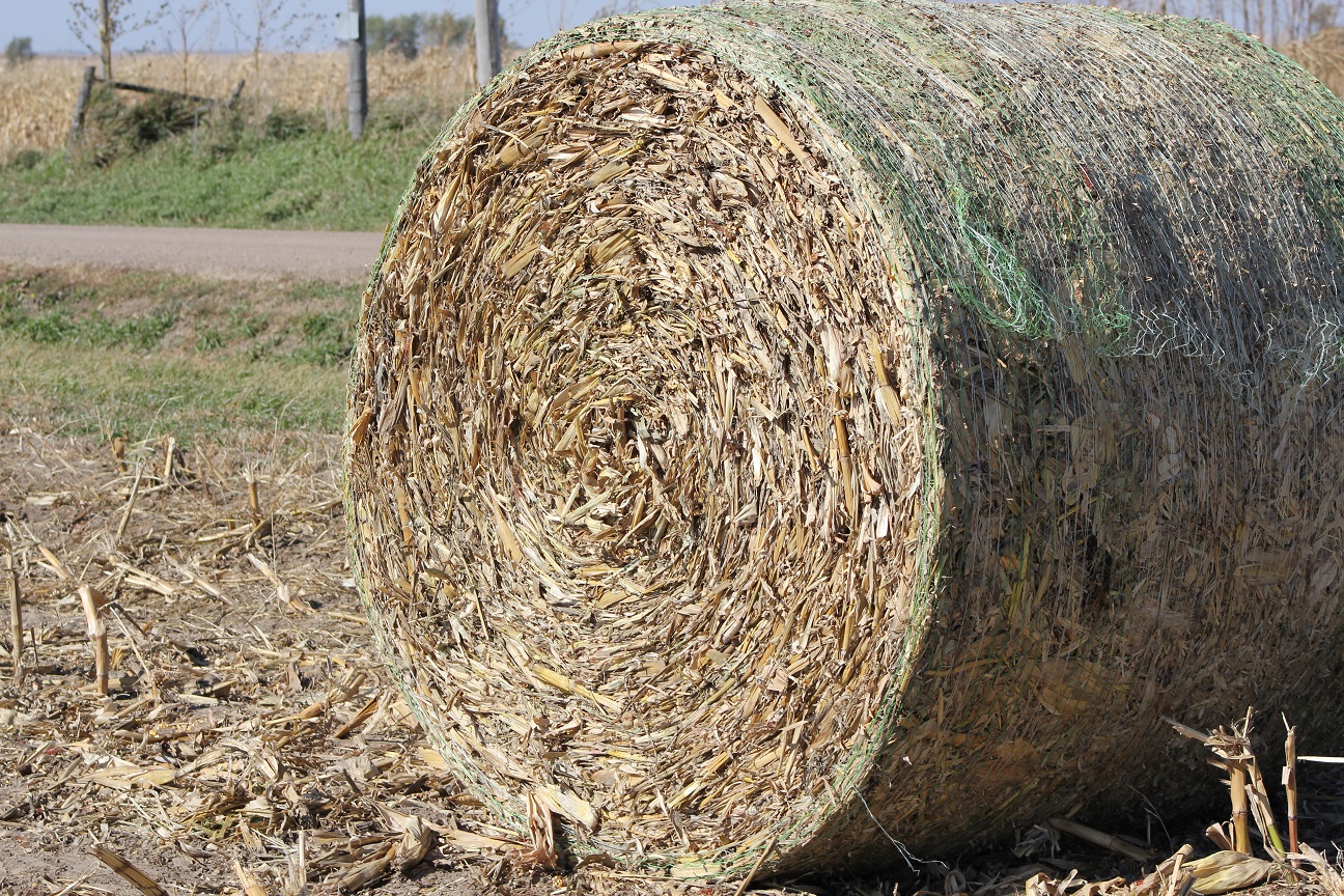 cornstalk bale