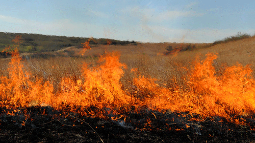 Prescribed Burn on Kansas Flint Hills